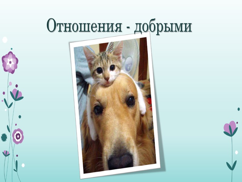 Отношения - добрыми